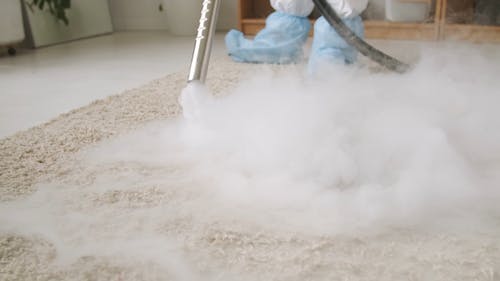 Top Reasons Why Experts Will Always Suggest Steam Cleaning For Your Carpet