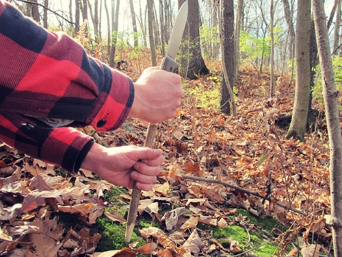 How to Choose the Perfect Survival Knife