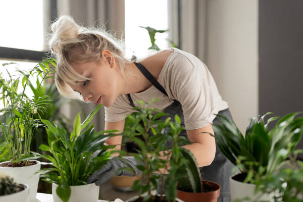 Residential Gardens Are Evolving