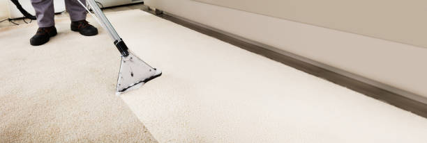 Carpet Cleaning: Why is it Important?