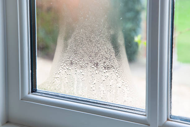 My Windows Have Condensation. What now?