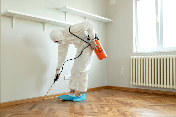 Radon and termite home inspections are important
