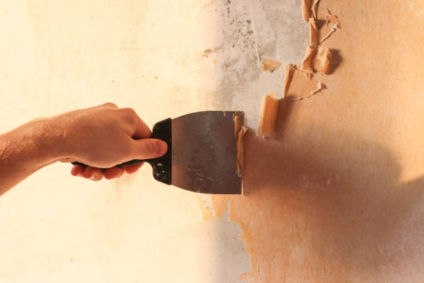 Home Repair Rip-Offs