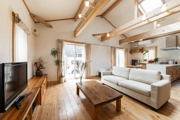 Tips for Home Renovation on a Budget