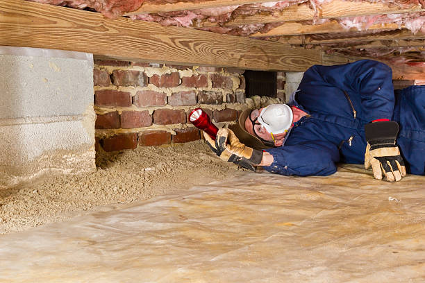 It’s time to schedule your termite inspection.