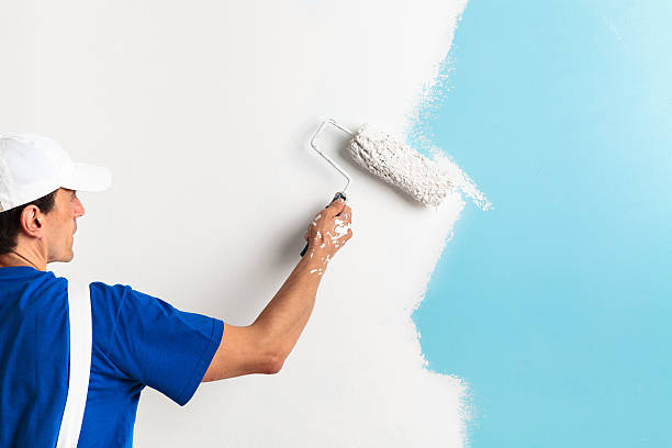 Here Are Some Tips to Help You Choose the Best Auckland House, Painter