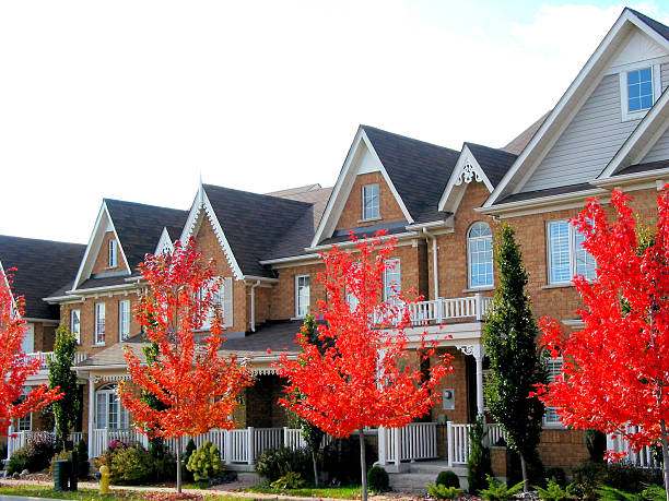 Freehold Townhomes: What are they, and what do you need to know?