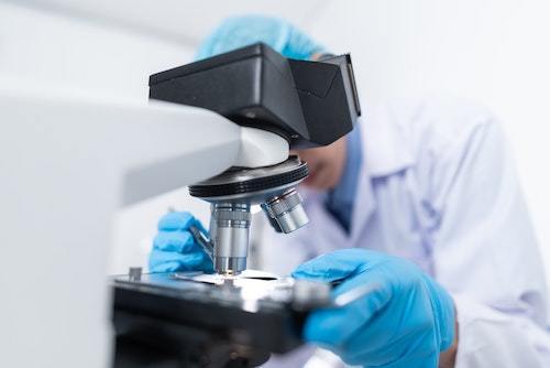 Different Types of Mold Sample Collection