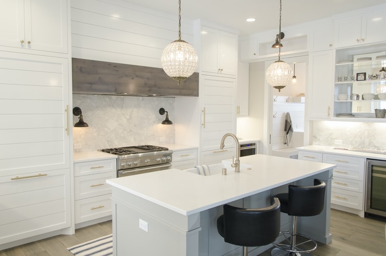 Pet-Friendly Features That You Can Add To Your Kitchen Renovation