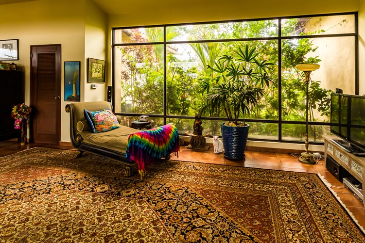 X Reasons to Choose Eco-friendly Cleaning for Your Carpets
