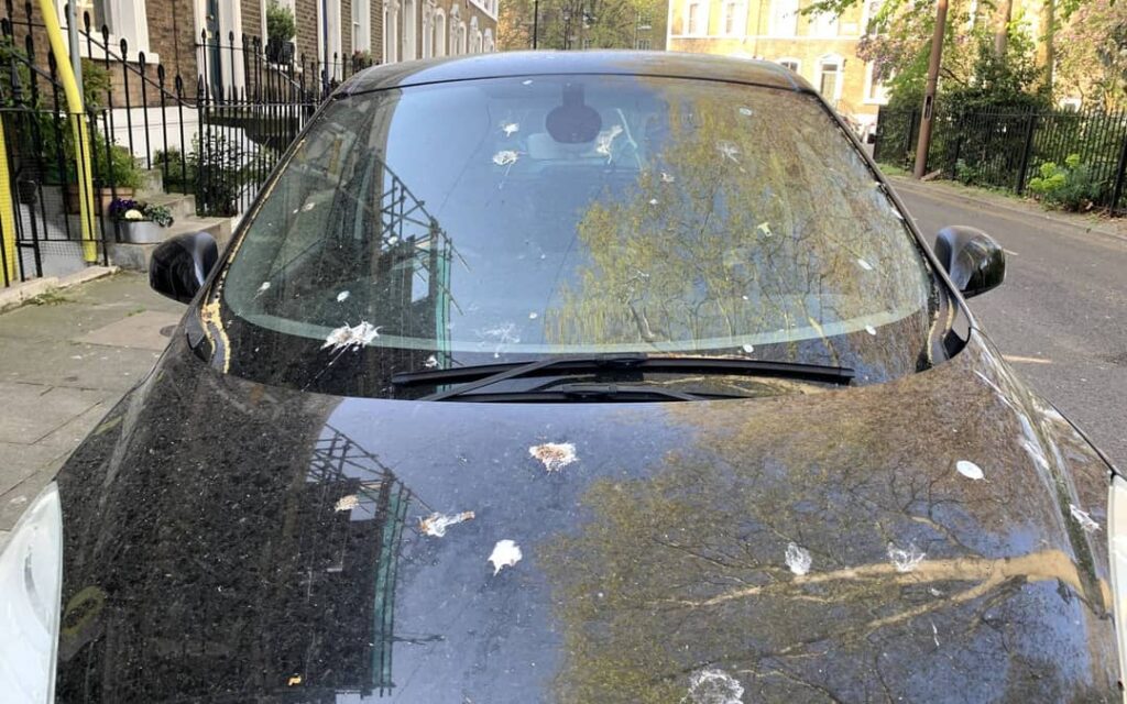 How To Get Sap Off Car