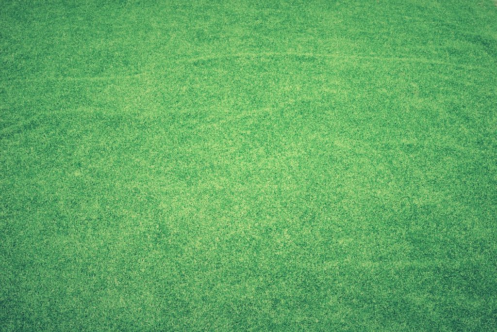 How Artificial Lawn Can Benefit You As A Responsible Homeowner?