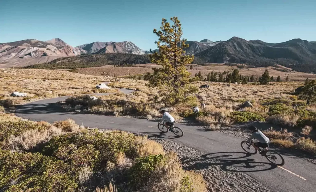 Mammoth Lakes Real Estate Market Update