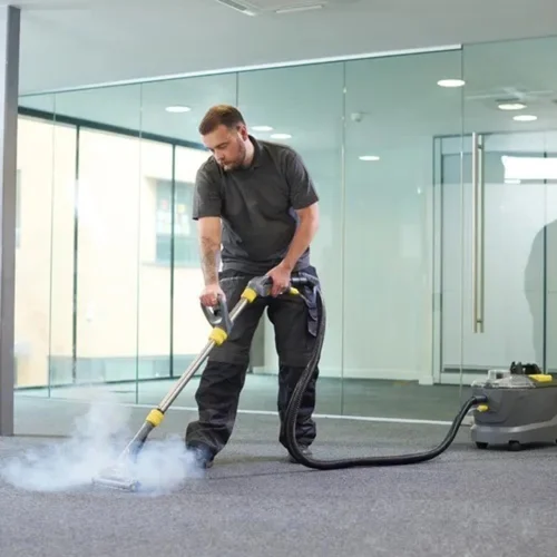 A Brief History of Carpet Cleaning Services