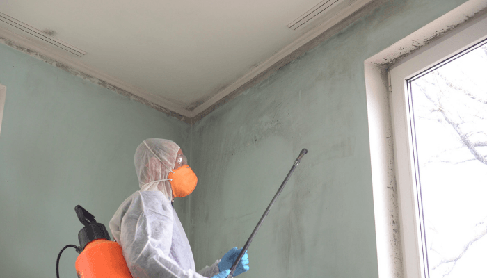 6 Home Inspection Tips for Buyers That Sellers Can Learn From