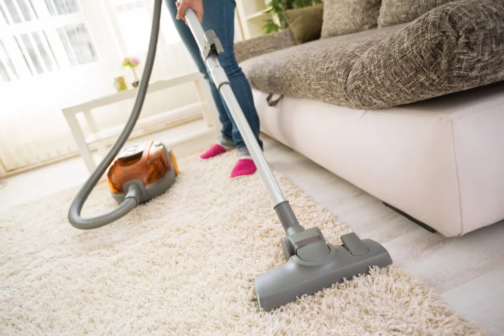 Clearwater Eco-Friendly Carpet Cleaning Options You Need To Know